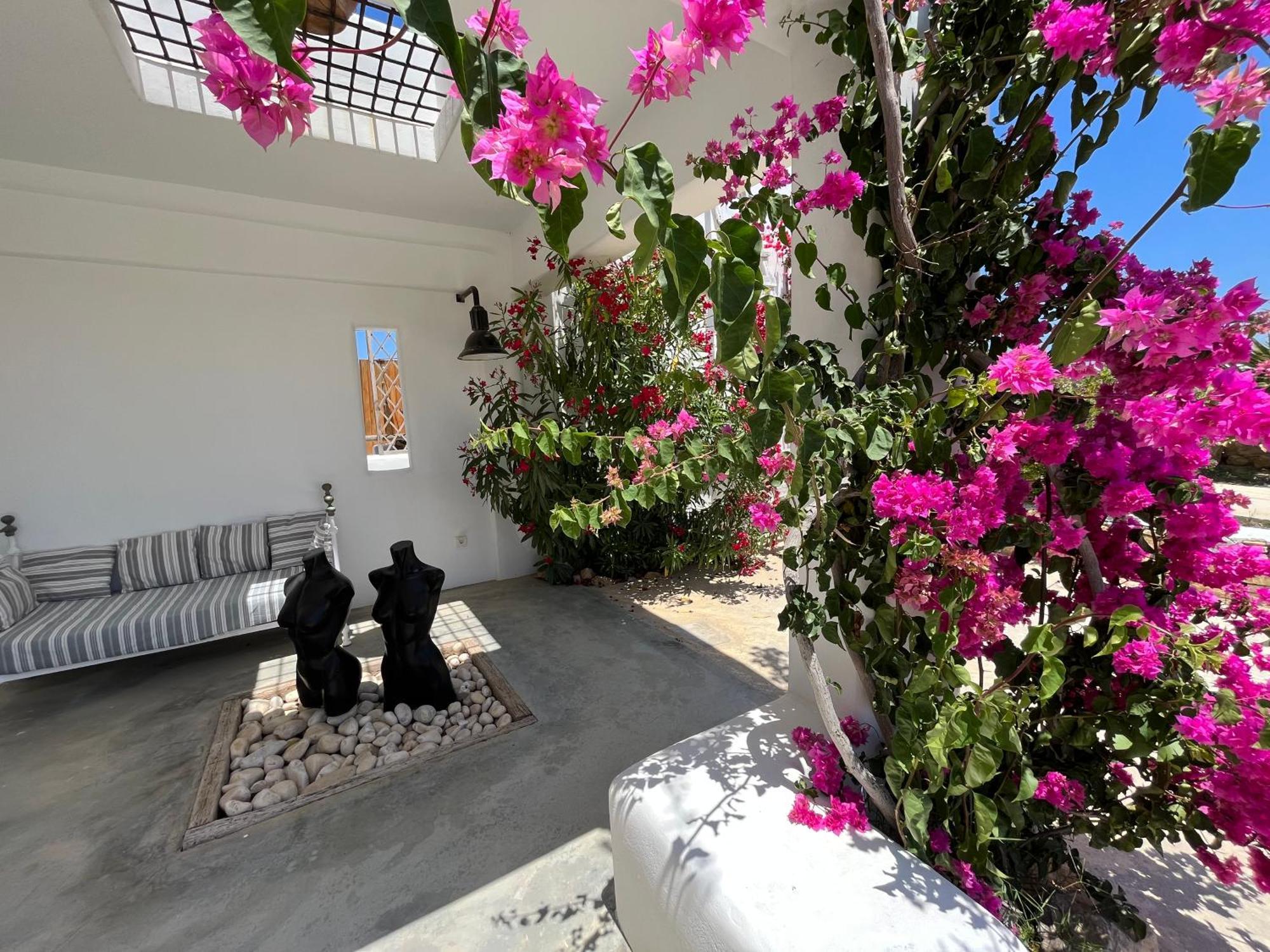 VILLA THEIA - SELENE , appartement de charme pour 4 à 6 personnes prés de la plage et du village de Koufonissi Koufonisia Extérieur photo